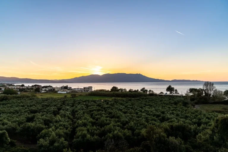 μπαλκονι Oasis (6)